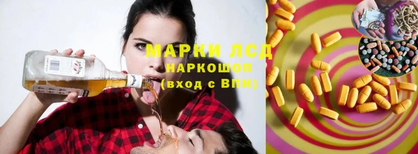 ПСИЛОЦИБИНОВЫЕ ГРИБЫ Вяземский