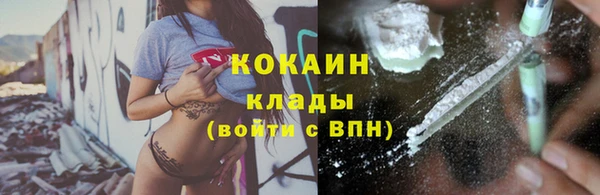 ПСИЛОЦИБИНОВЫЕ ГРИБЫ Вяземский