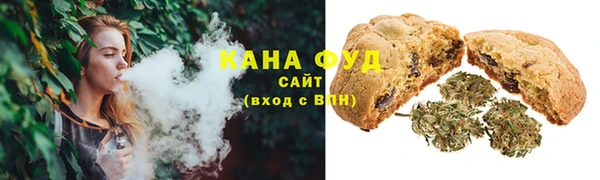 ПСИЛОЦИБИНОВЫЕ ГРИБЫ Вяземский