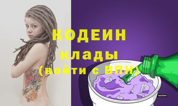 ПСИЛОЦИБИНОВЫЕ ГРИБЫ Вяземский