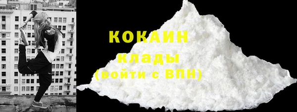 ПСИЛОЦИБИНОВЫЕ ГРИБЫ Вяземский