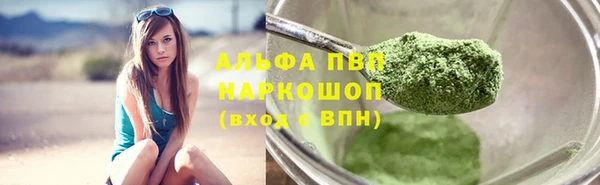 ПСИЛОЦИБИНОВЫЕ ГРИБЫ Вяземский