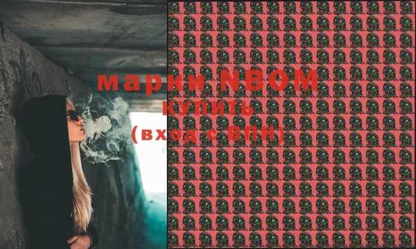 ПСИЛОЦИБИНОВЫЕ ГРИБЫ Вяземский