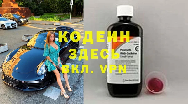 ПСИЛОЦИБИНОВЫЕ ГРИБЫ Вяземский
