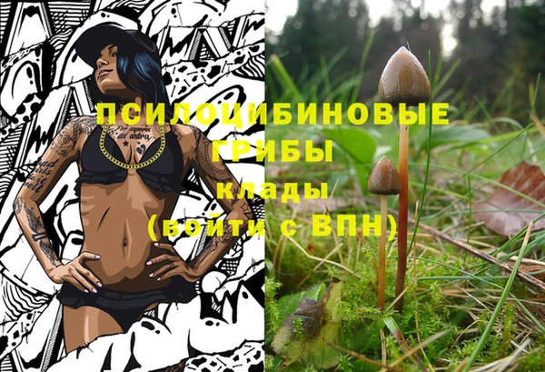 ПСИЛОЦИБИНОВЫЕ ГРИБЫ Вяземский