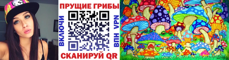 Галлюциногенные грибы мицелий Апшеронск
